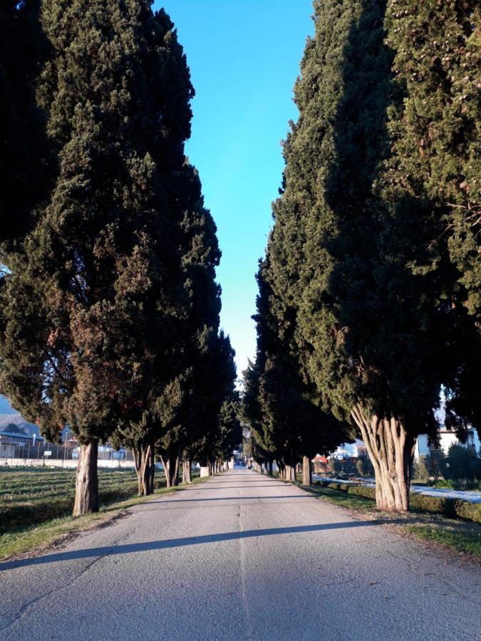 Guest House Villa Angaran San Giuseppe Bassano del Grappa Zewnętrze zdjęcie